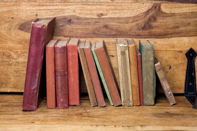 Old vintage books on the wooden bookshelf