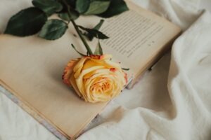 Poetry book with yellow rose