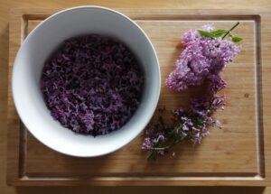 Lilac flowers for lilac syrup in a white bowl and on a wooden surface