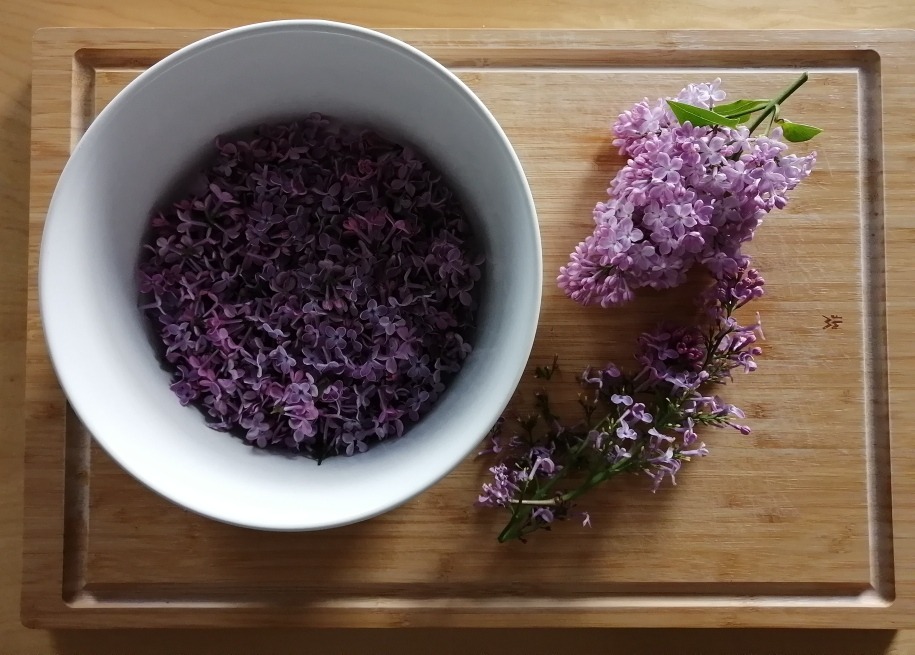 Simple lilac syrup recipe