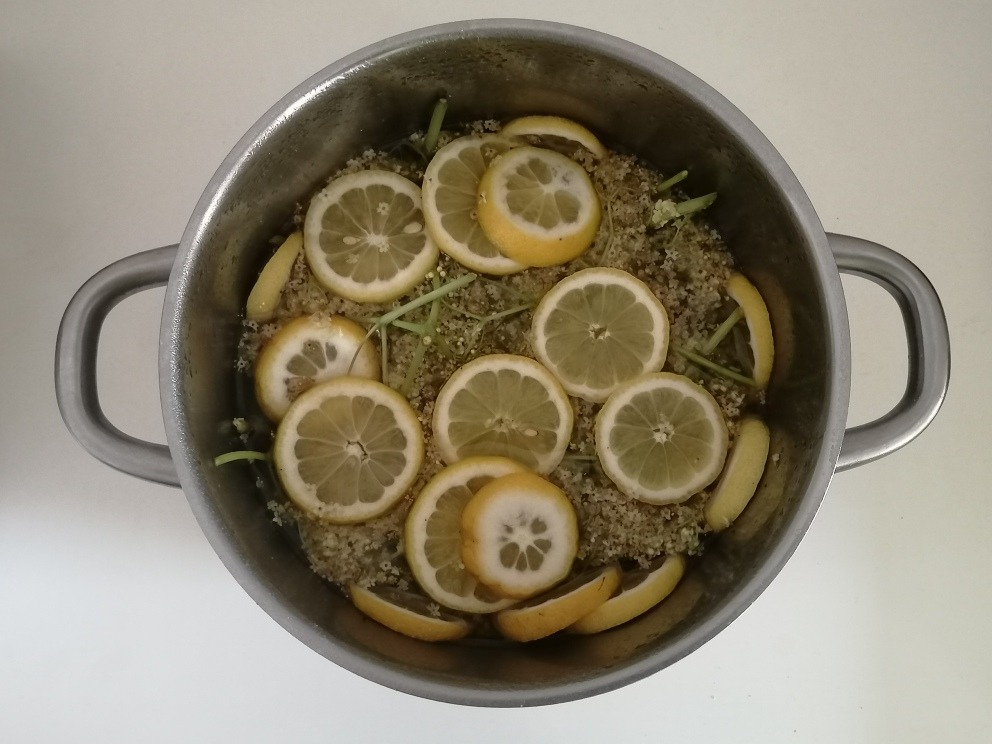 homemade elderflower cordial infusion in large saucepan