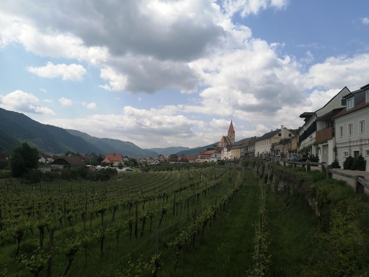 Weissenkirchen Wachau