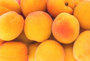Close up of ripe fresh apricots for jam from above