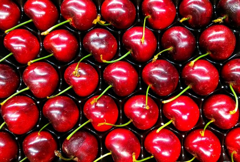 Ripe cherries in a plastic tray